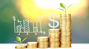 广西天域投资有限公司